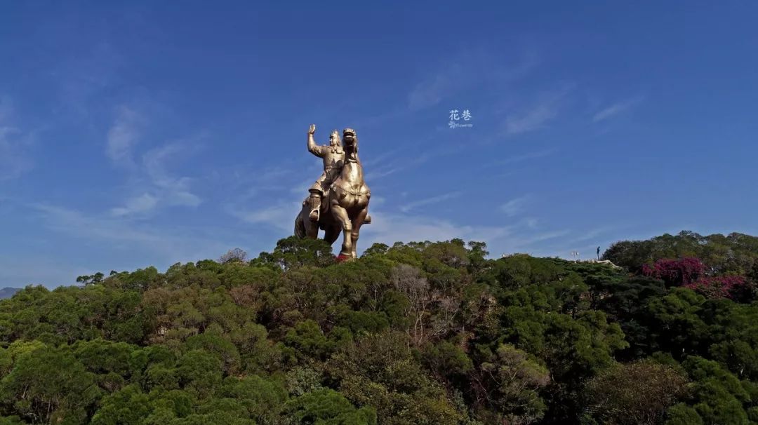 表白这些属鼠的泉州人