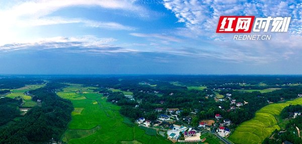 巩固脱贫攻坚与乡村振兴会议记录,常德谱写乡村振兴新篇章