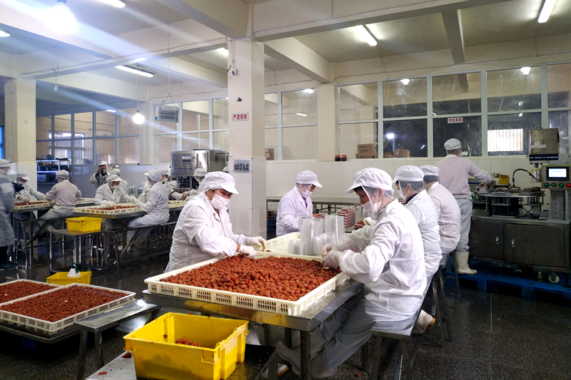 诏安红星青梅节,诏安红星梅园元旦