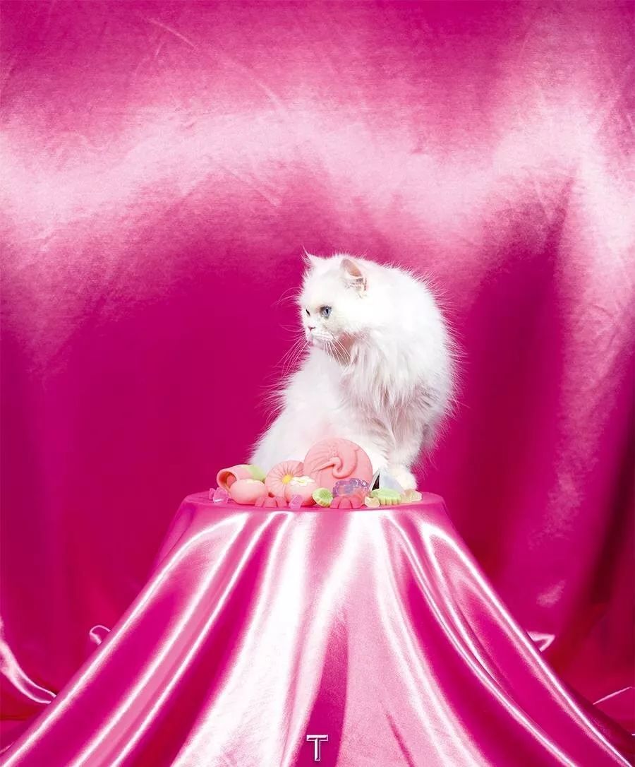 童趣对于成人的意义,童趣化消费