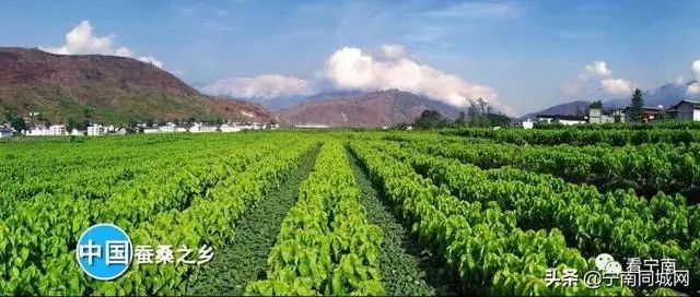 宁南，一座自然景观绽放的魅力小城