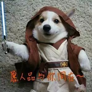 旅游必看的十部电影,旅游电影十大巅峰之作