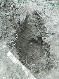 滨河花园社区一期停水,滨河花园漏水事件