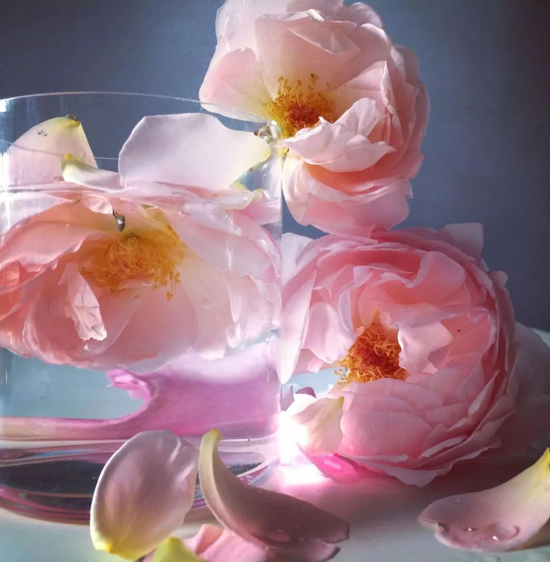 帮McQueen直播、给英女王拍照、被RafSimons致敬——这间工作室真传奇