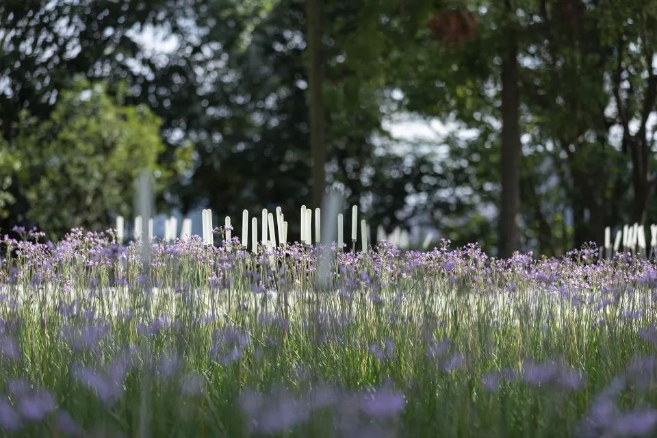 贵州安顺西秀区虹山湖市民公园,西秀区武当路虹山湖市民公园