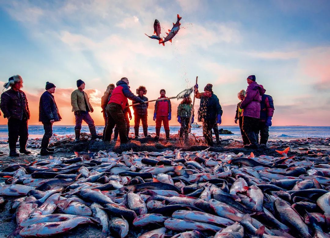 过年新鲜海鲜有哪些,中国人过年常吃什么