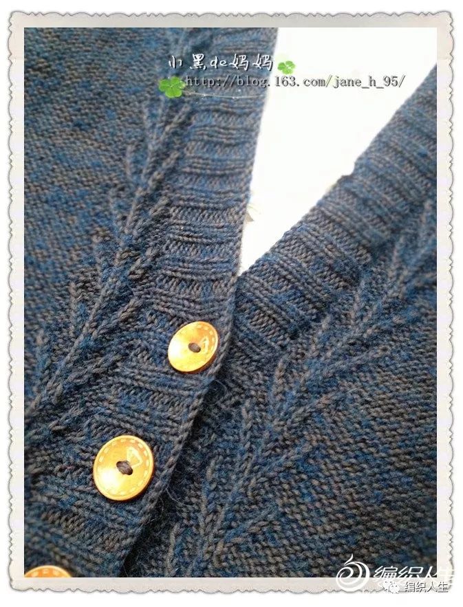 金枝玉叶刺绣开衫,棒针叶子花样v领开衫