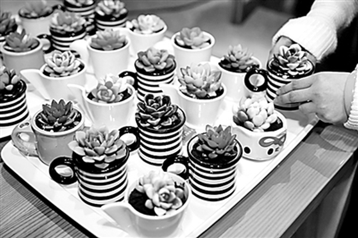 正宗益生菌相关食品,益生菌原味风味