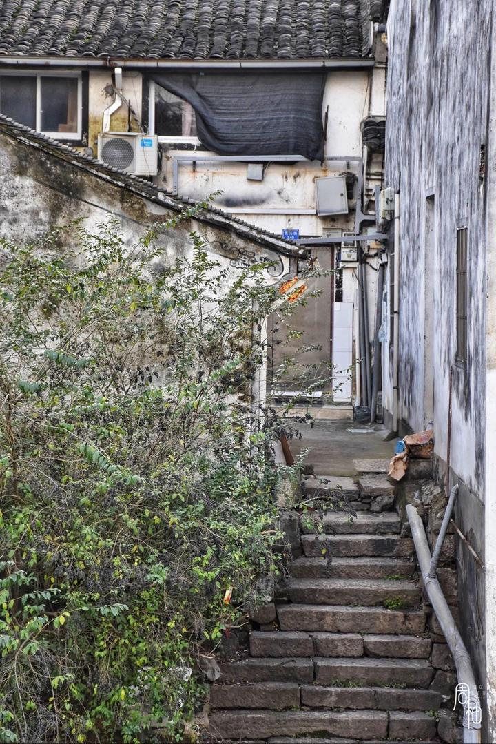 西兴古镇为啥不开发,西兴古镇为什么没开发