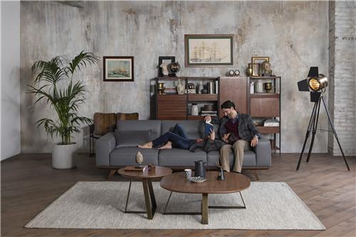 意迪森沙发品牌文化,意迪森进口家居推广