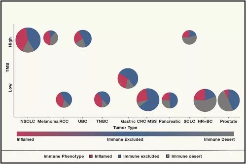 《细胞》子刊重磅：癌症免疫治疗的未来，这里有十个问题|奇点深度