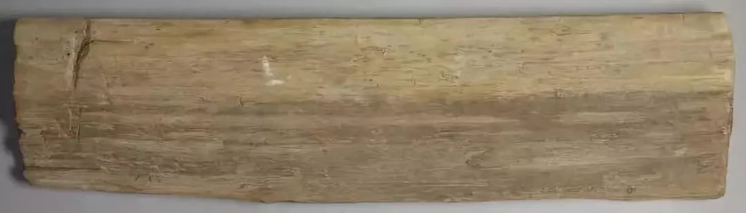 斯坦因敦煌藏品,斯坦因画像