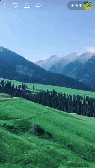 本来想去薅羊毛,却沉迷在这张“活的”地图上……