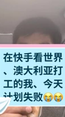 本来想去薅羊毛，却沉迷在这张“活的”地图上……