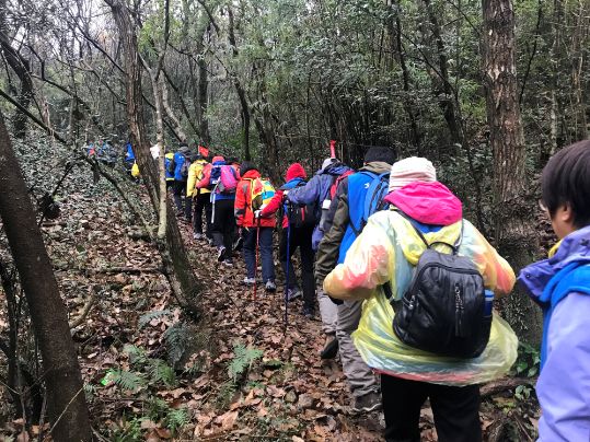 春节不知道去哪儿玩,春节出游不知道去哪玩