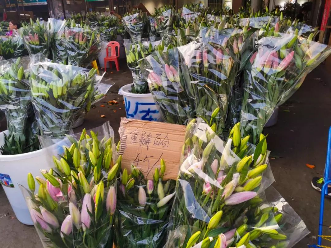 年花开始升价啦！岭南花卉市场购花攻略快收好