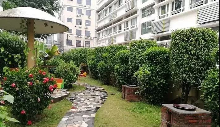 龙岗新生片区有哪些公办幼儿园,深圳市龙岗区龙岗街道爱尔幼儿园