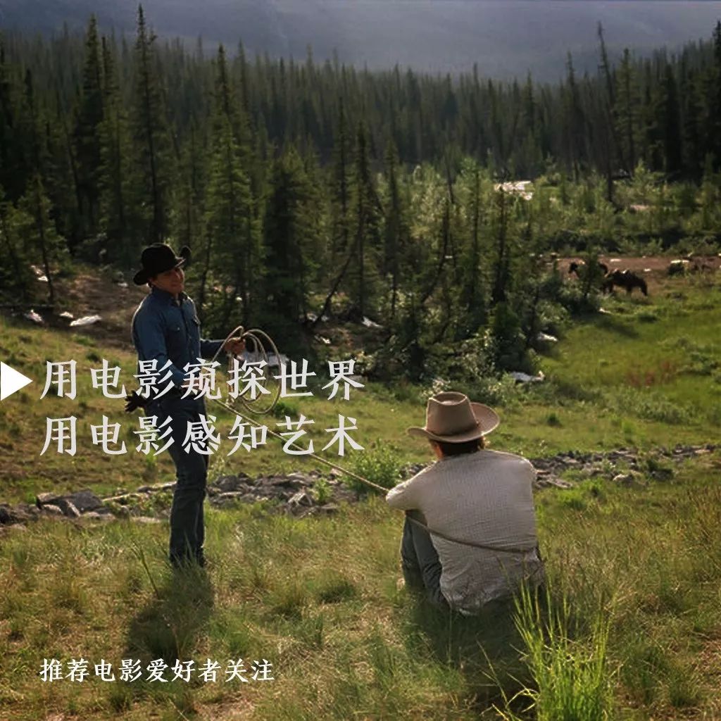 20年20部电影精选,20年推荐十部电影