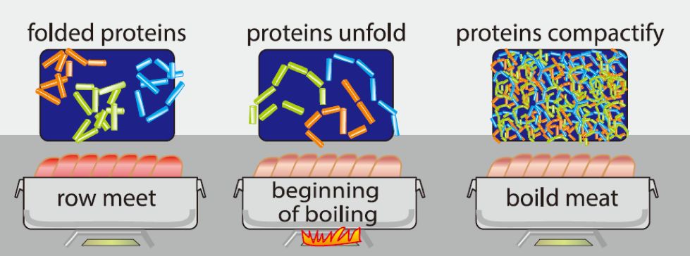 饺子是蒸煮好吃还是煮好吃呢,饺子是熟的煎还是生的煎