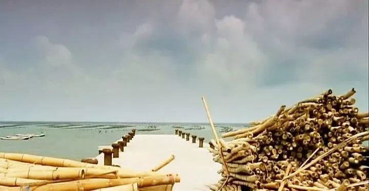 宅在家里也能拍出大自然风景,宅在家里挖掘自己的潜能