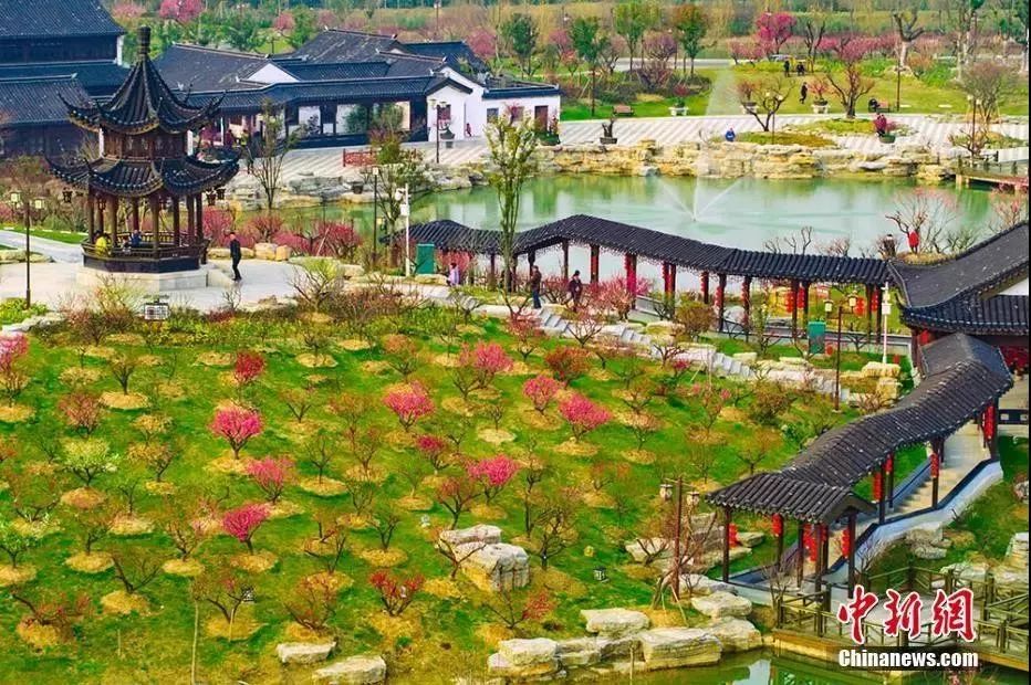 今日立春冬已尽春可期,今日立春春暖花开