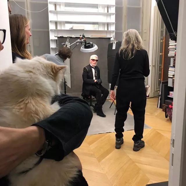 继承老佛爷遗产的猫怎么样了,老佛爷的猫咪现在怎么样了