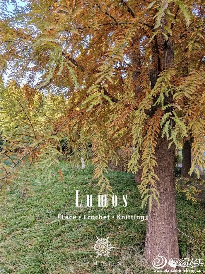 环形针毛衣收纳包怎么做,棒针环形针收纳包制作