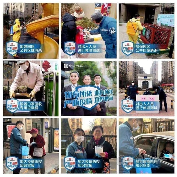 感谢物业送来的蔬菜,感谢物业给送菜