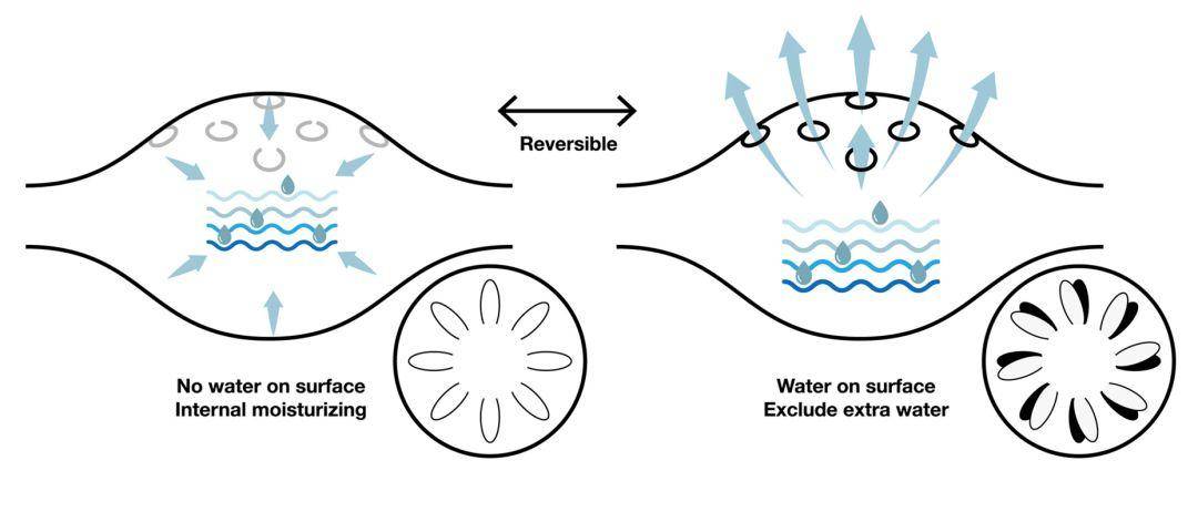 奥斯卡设计大奖作品,设计界奥斯卡if设计奖