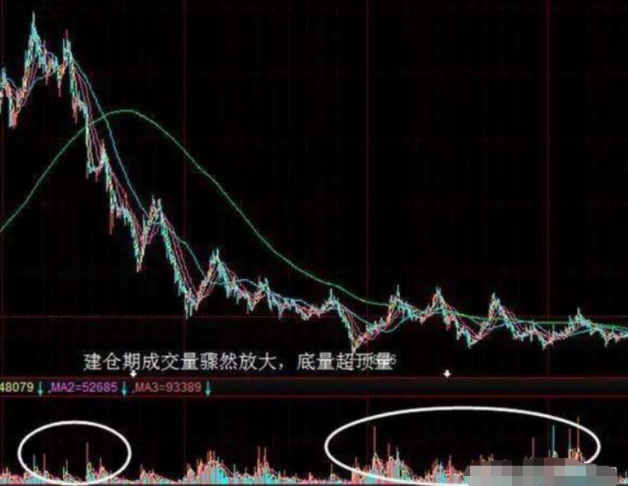 中国股市这种庄股千万不要碰,终于有人把炒股的本质讲明白了