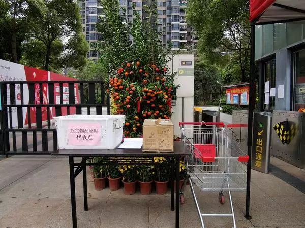封闭式管理、代购代买…看三水这个居住6万人的小区如何战疫