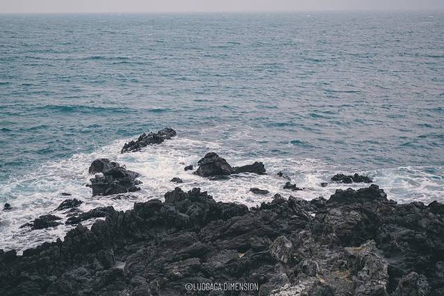 济州岛旅行遇到下雨,日记三年级海边游玩