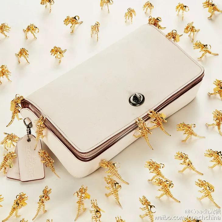 T型台|说到买包，谁还没买过Coach呢？