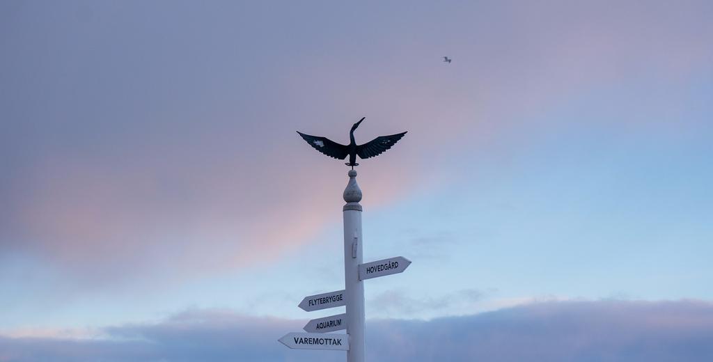 罗弗敦群岛旅行攻略,罗弗敦群岛游记