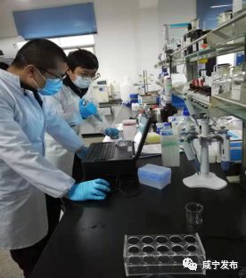 咸宁防控疫情指挥部最新公告,文明单位参与疫情防控流程