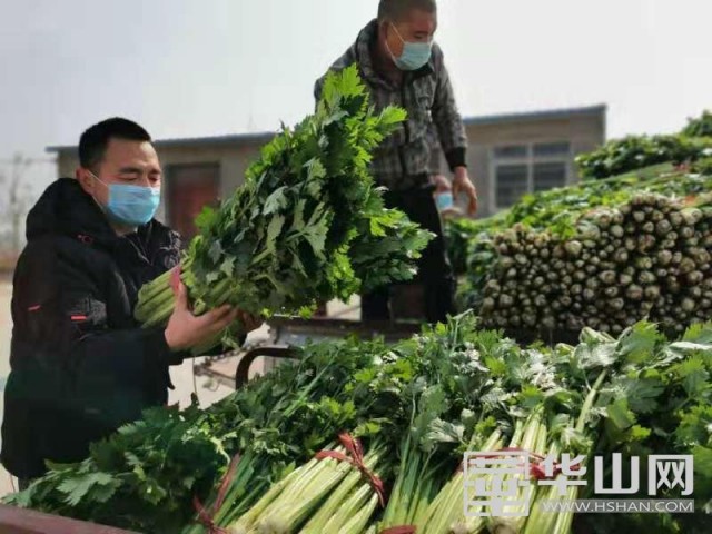 滨城区红色导购员,原农村的代购代销员