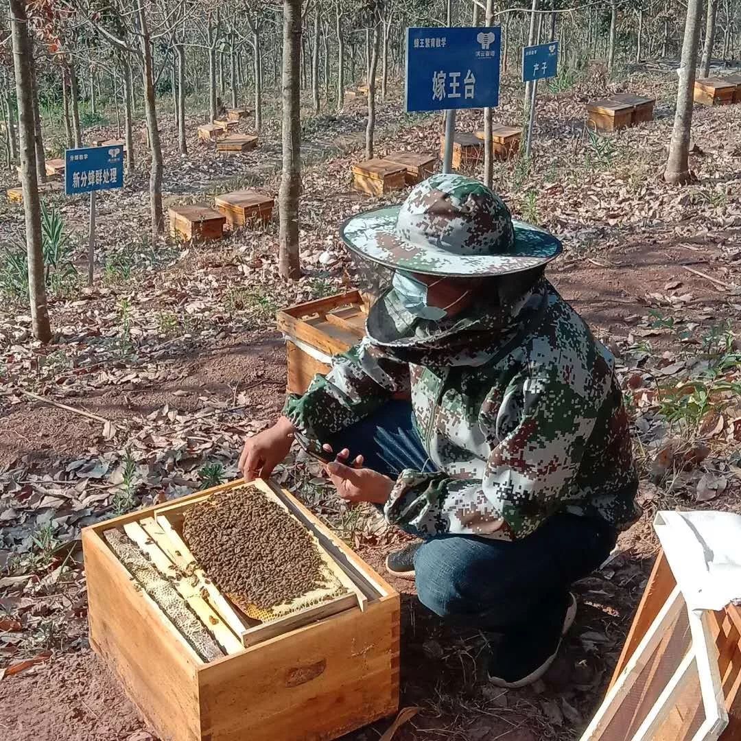 抗疫情促发展｜滇云蜜语：千户蜂农上网课