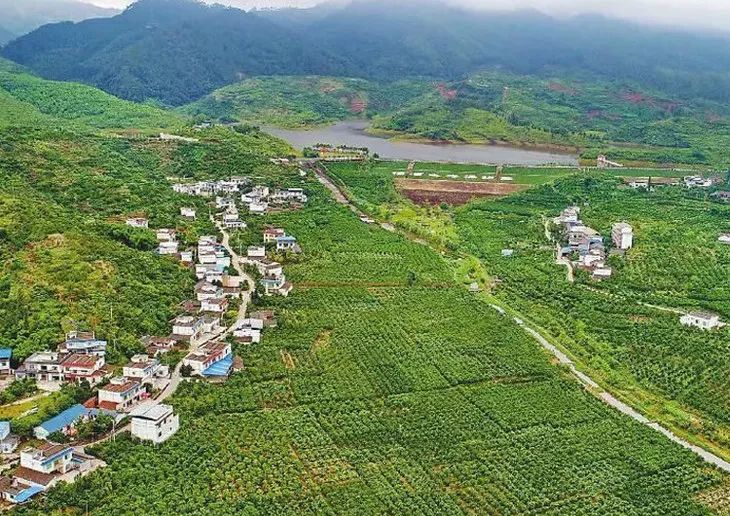 一咬汁水四溢鲜香满口,一咬爆汁像葡萄的水果