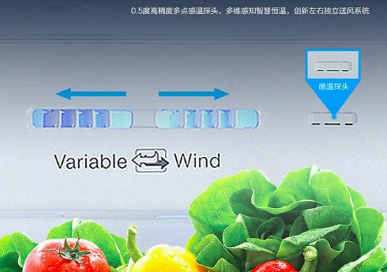 AAT负离子养鲜的原理冰箱的风道里竟藏有宝石