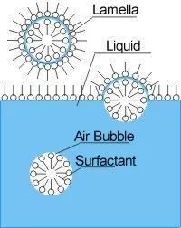 为什么用洗洁精能做出泡泡水,洗洁精水为什么吹不出泡泡