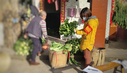 女支书疫情防控勇担当,不忘初心牢记使命党员抗击疫情