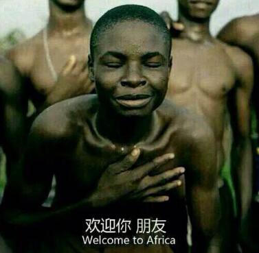 星露谷物语怎么盖谷仓,星露谷物语谷仓怎么用