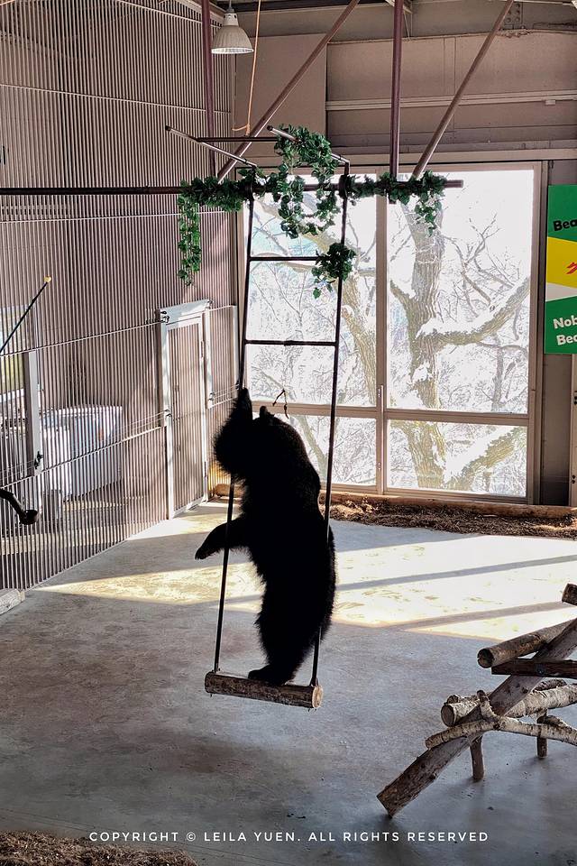 日本购买新冠口罩,去日本买口罩的便宜吗