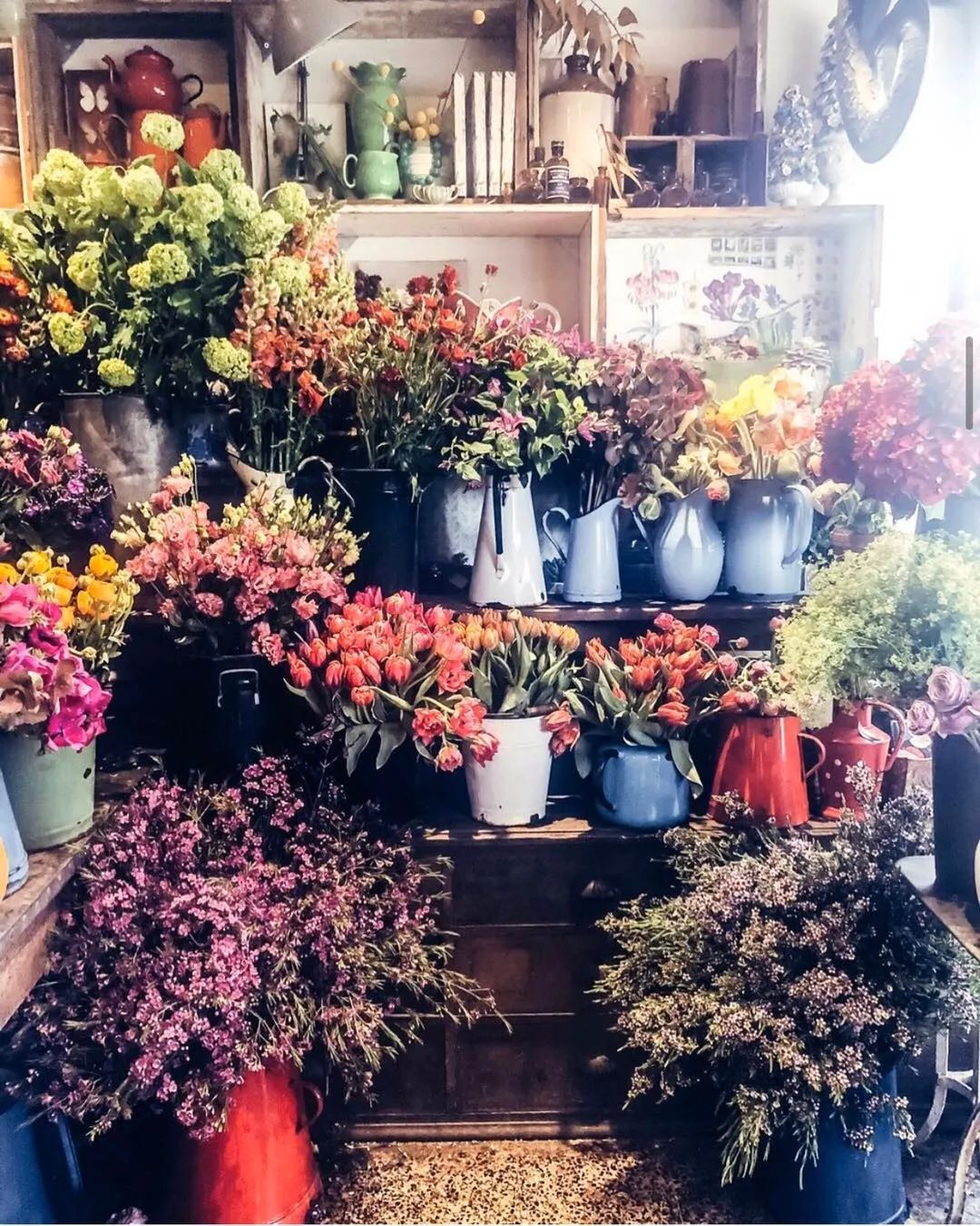 伦敦花店排名,伦敦一些有气质的花店推荐