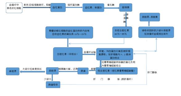 烟台毓璜顶医院黄庆先主任,毓璜顶医院肝胆科黄庆先哪天坐诊
