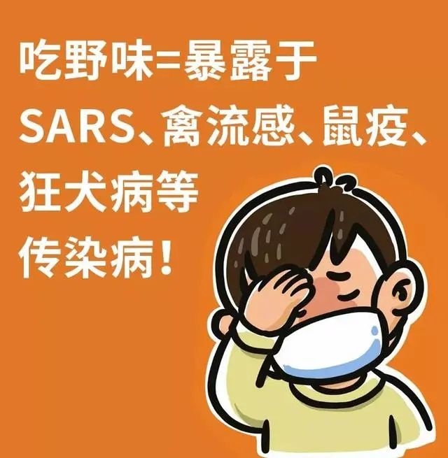 到底什么算是“野味”？