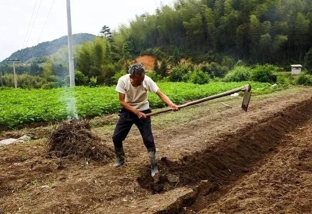 云和山什么意思,云和山是什么意思