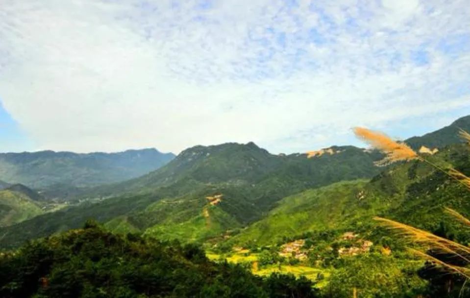 阎志在三里畈捐了什么,湖北首富阎志的事迹