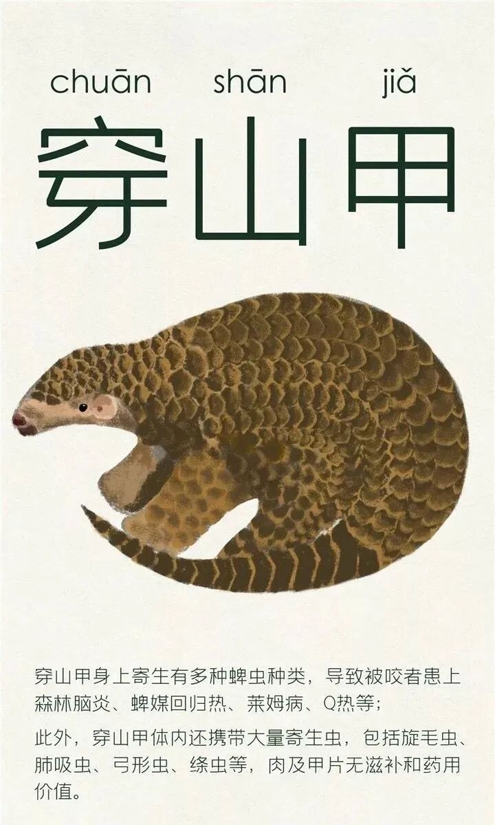 人工养殖什么野味不违法,人工养殖野味的危害