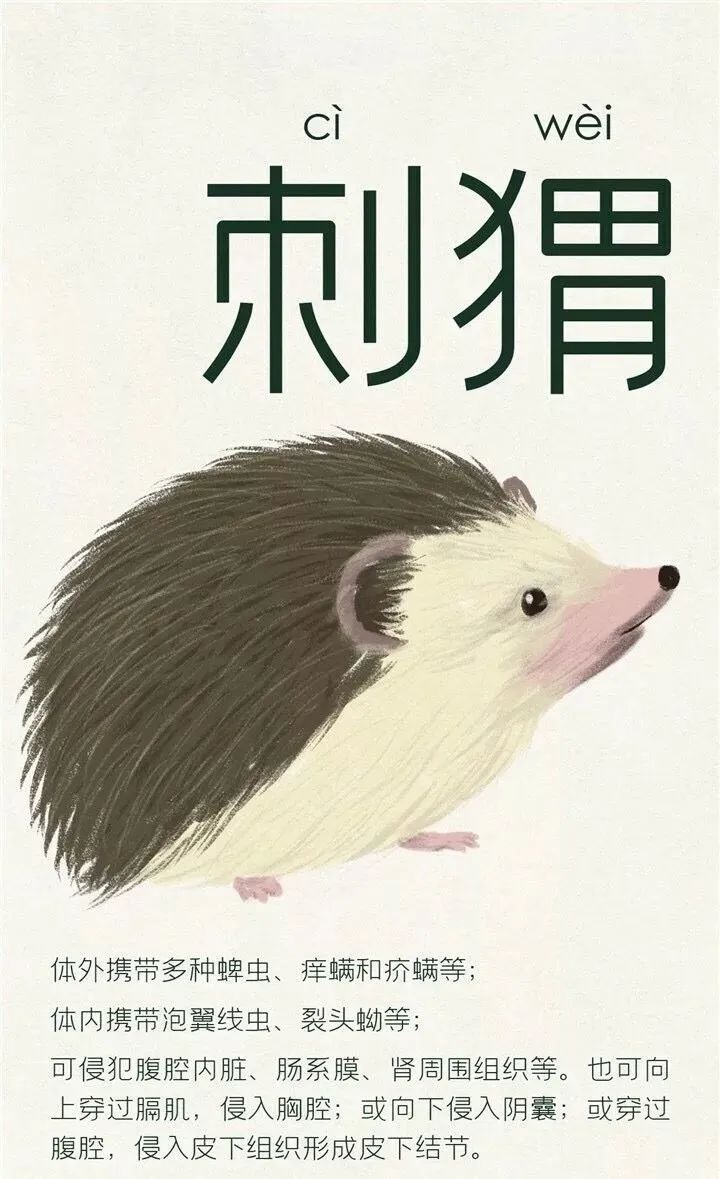 人工养殖什么野味不违法,人工养殖野味的危害